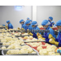 Vegetable frozen fruit processing line